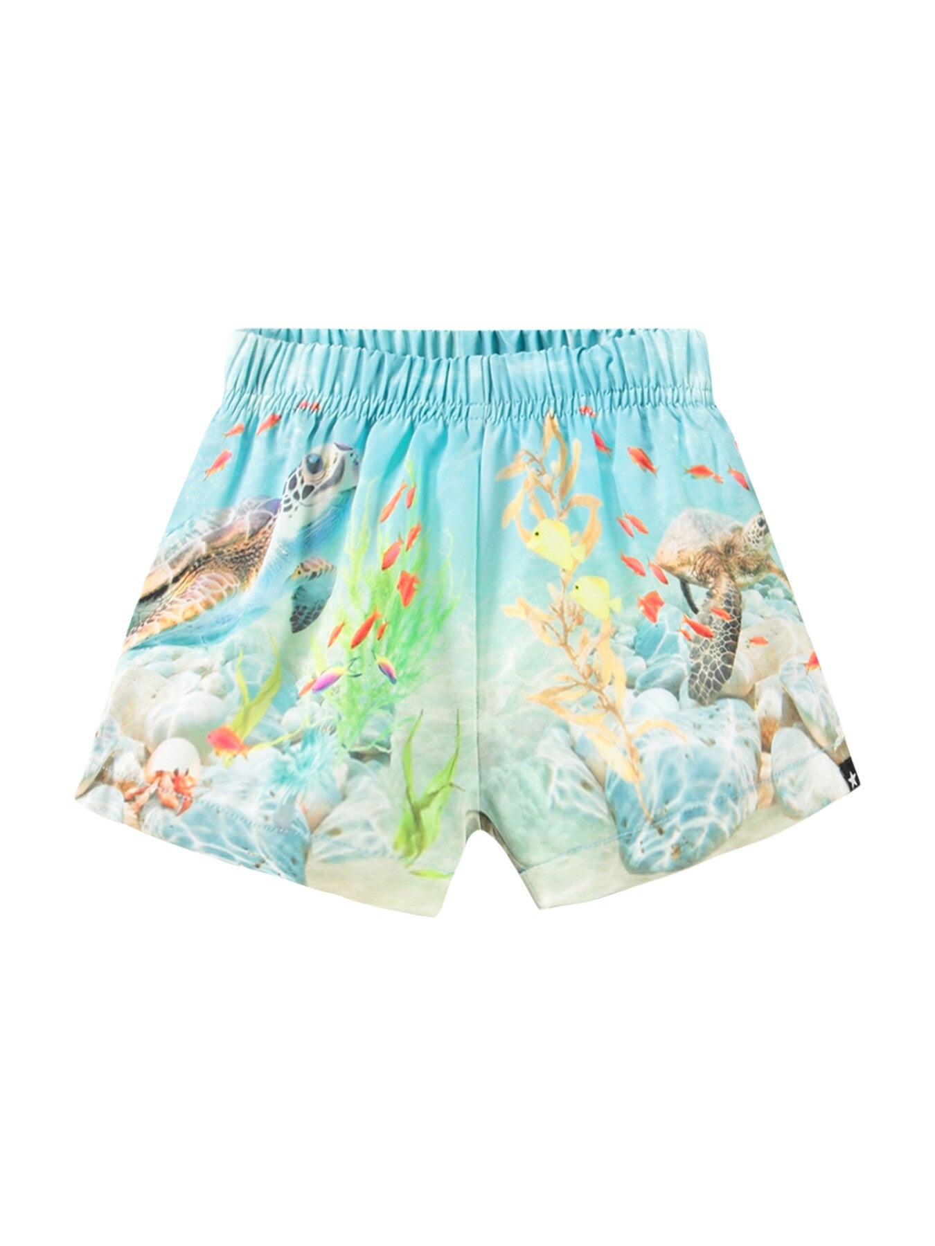 Newton Swim Shorts