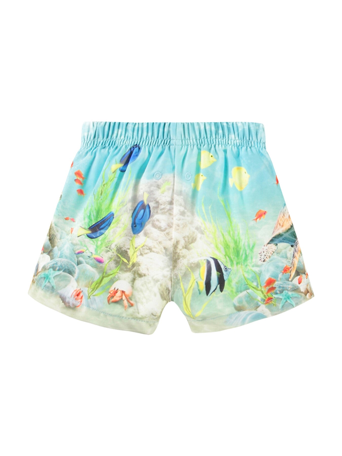 Newton Swim Shorts