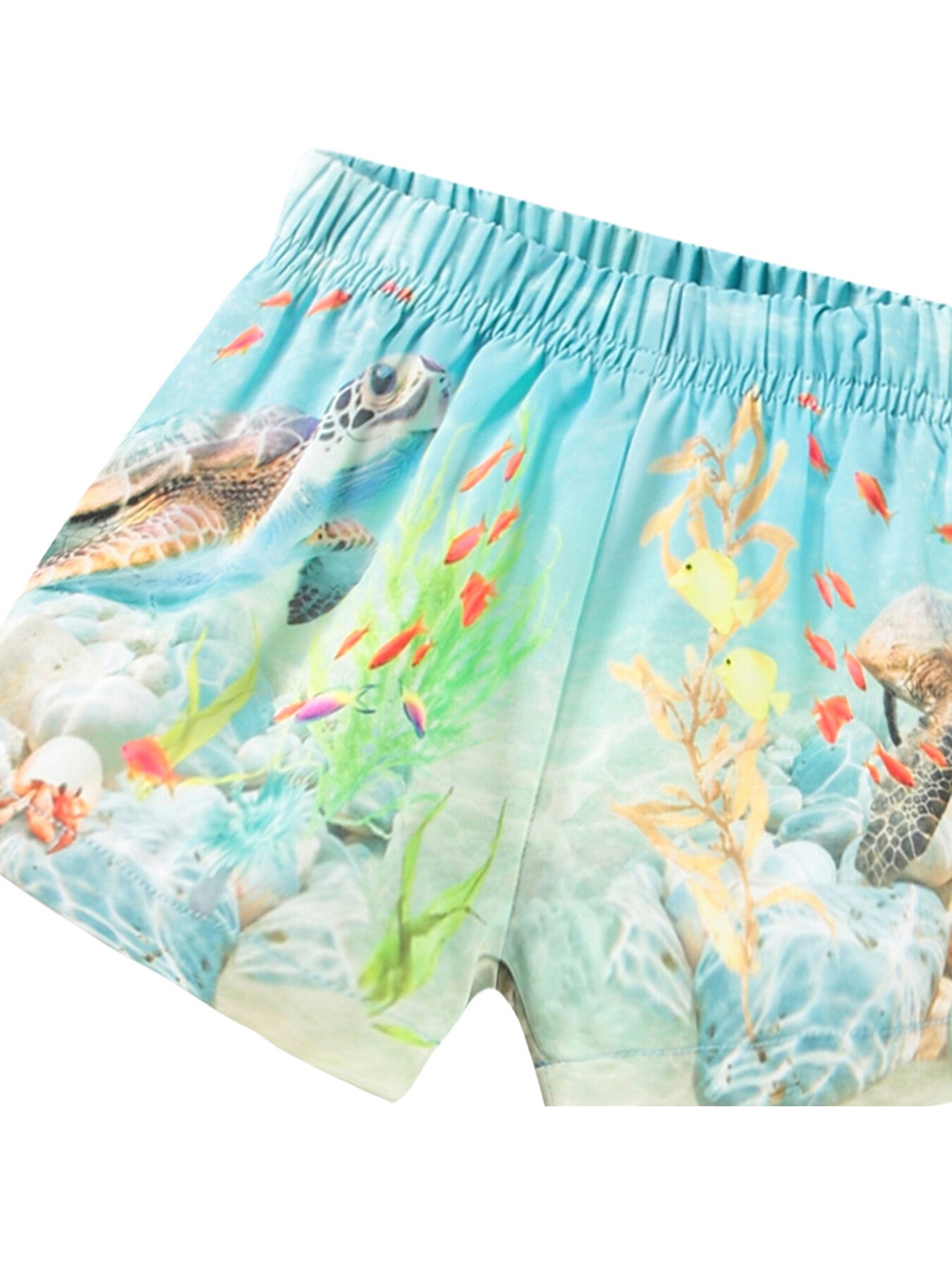 Newton Swim Shorts