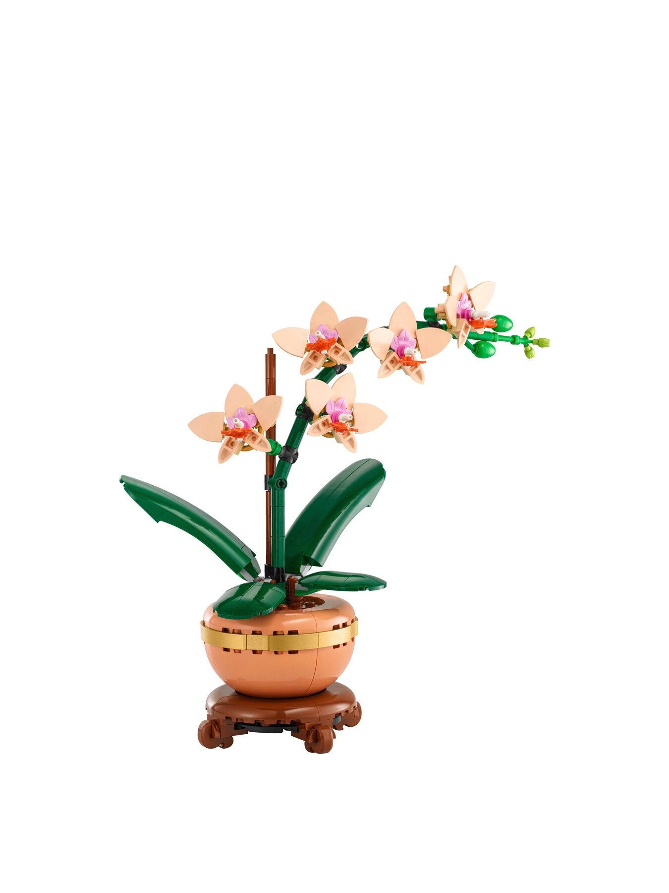 Botanicals Mini Orchid 10343