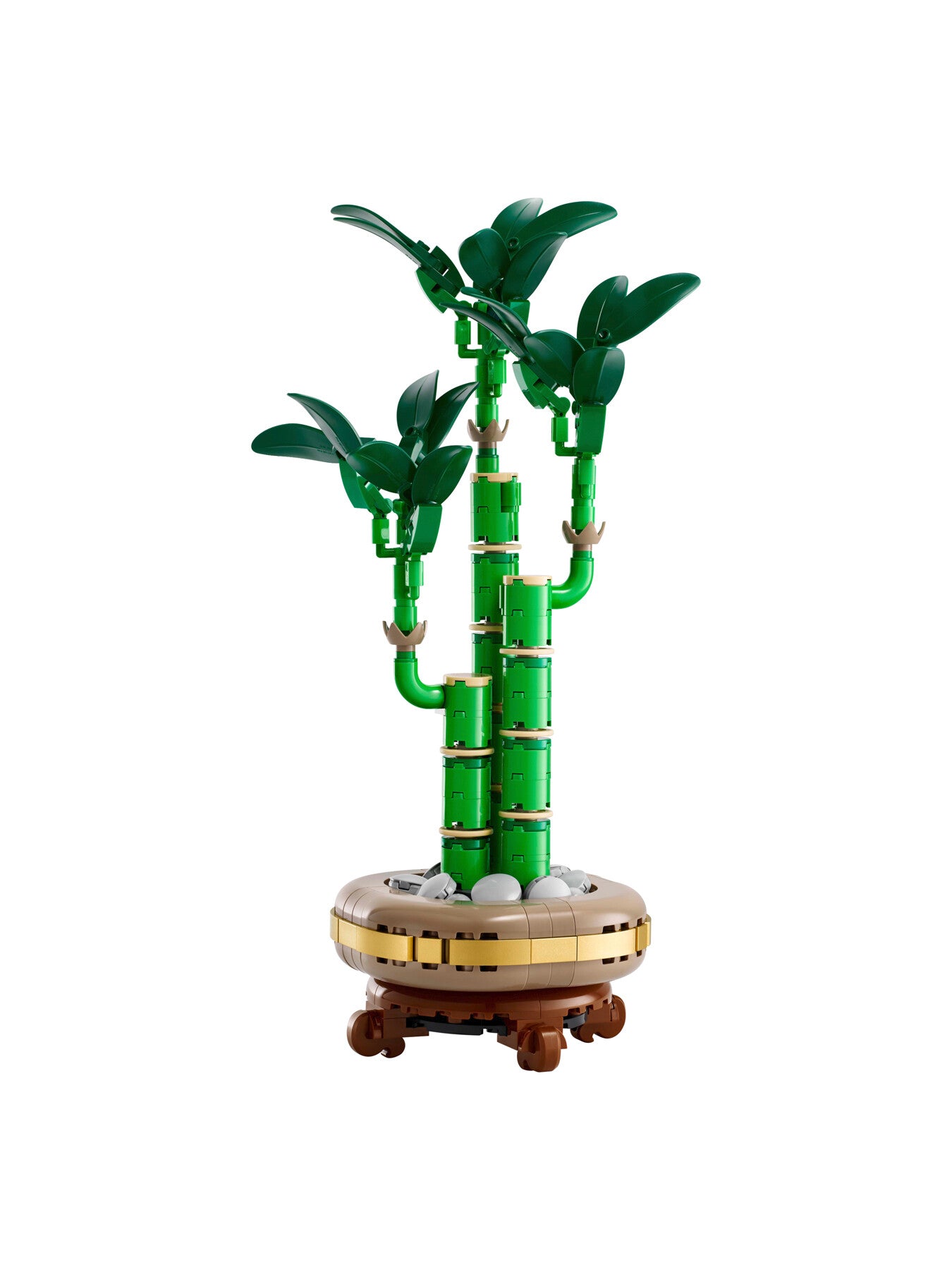 Botanicals Lucky Bamboo 10344