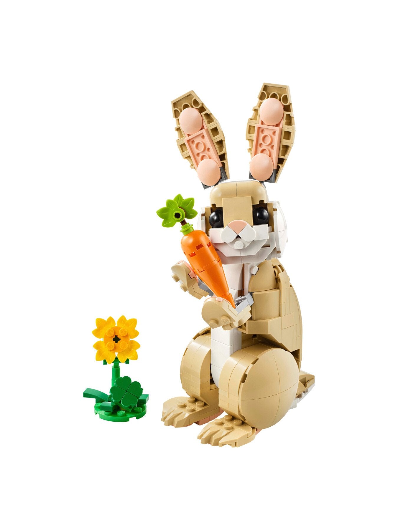 Cute Bunny 31162