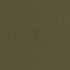 Burnt Olive