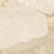 Rainbow Moonstone