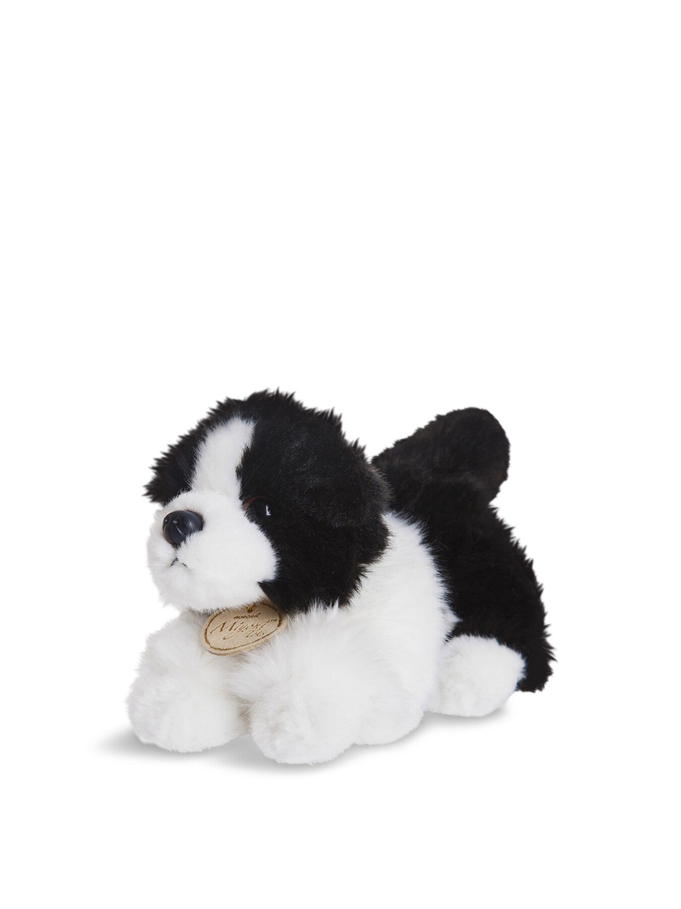 MiYoni Collie