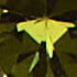 Platinum/Peridot/Jonquil Crystal/Olive