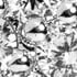 Rhodium Plate/Pave Cystal
