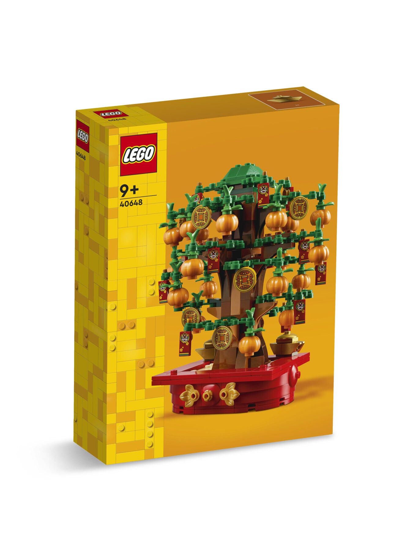 Money Tree 40648