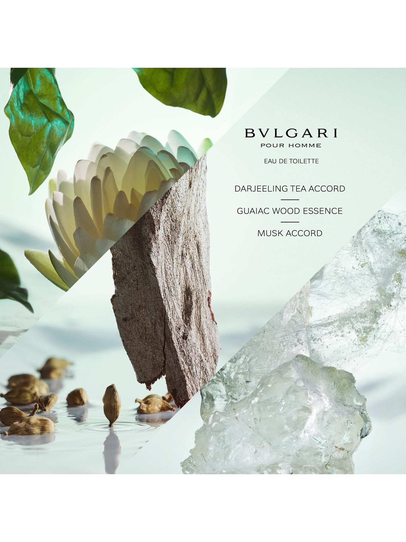 Bvlgari Pour Homme Eau de Toilette 50ml