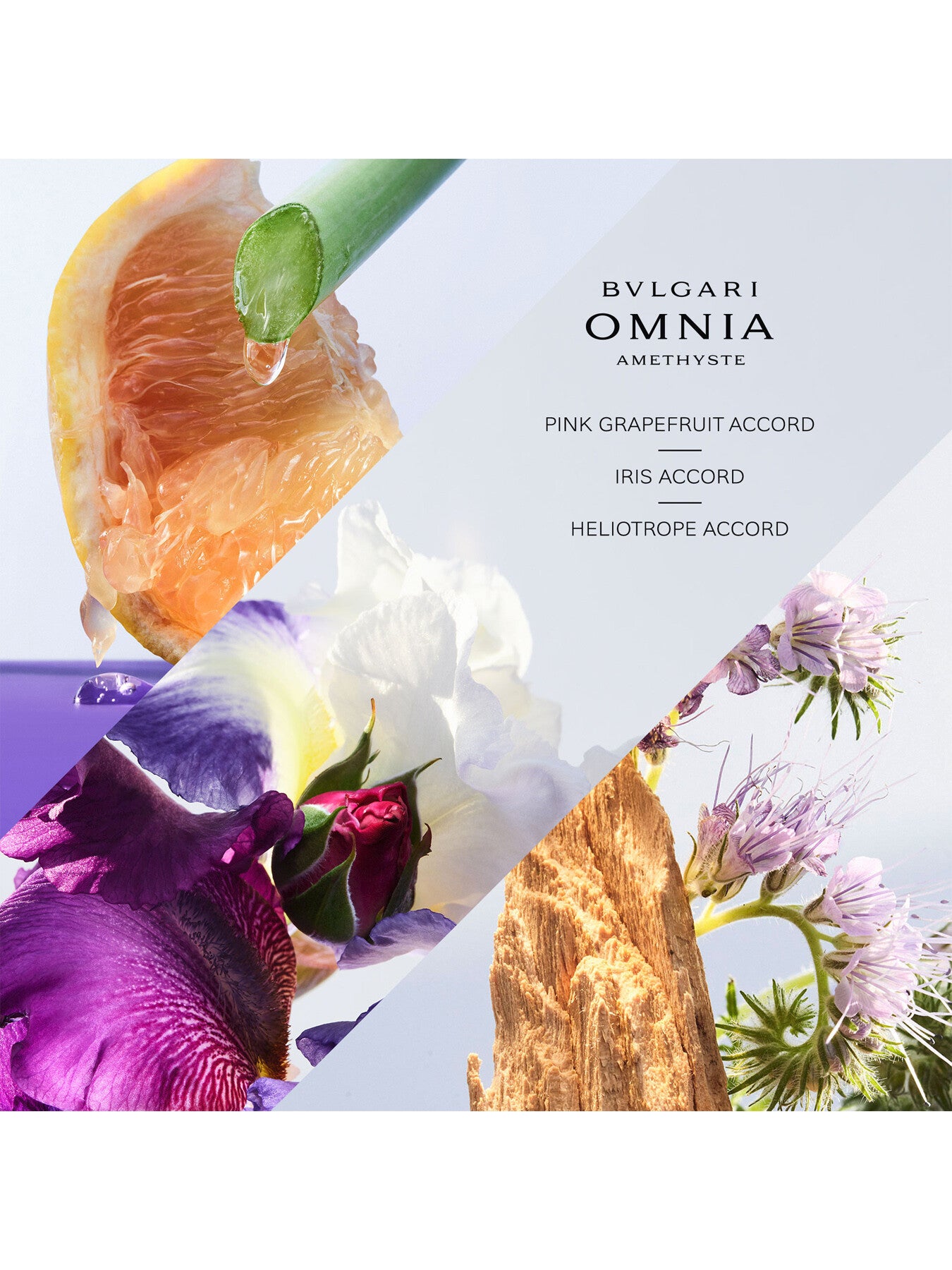 Omnia Amethyste Eau de Toilette 50ml