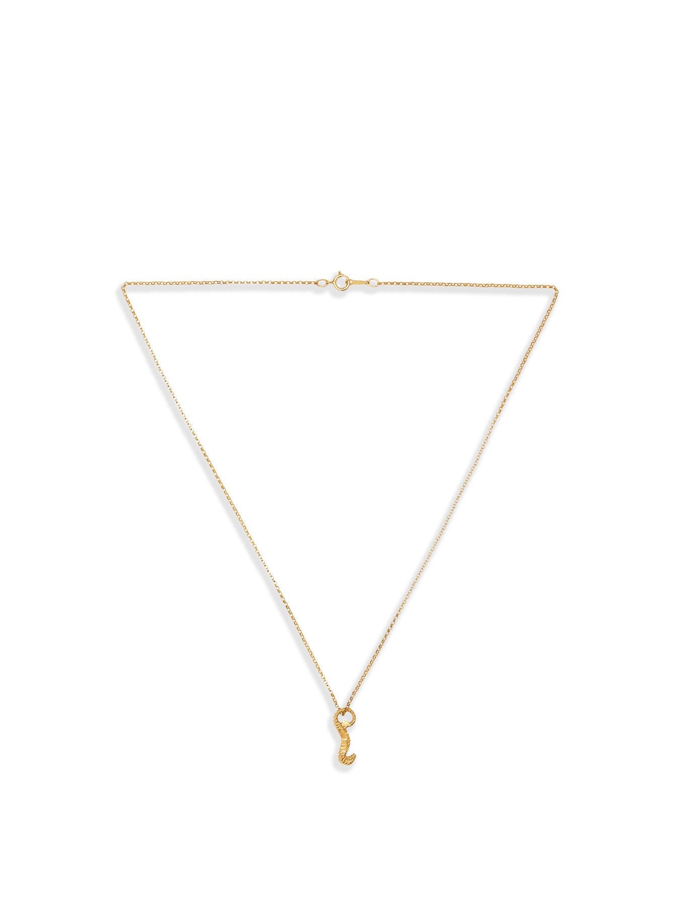 The Elusive Dreamer Necklace