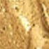 24kt Gold Plated/Bronze