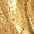 24kt Gold Plated/Bronze
