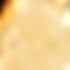 24kt Gold Plated/Bronze