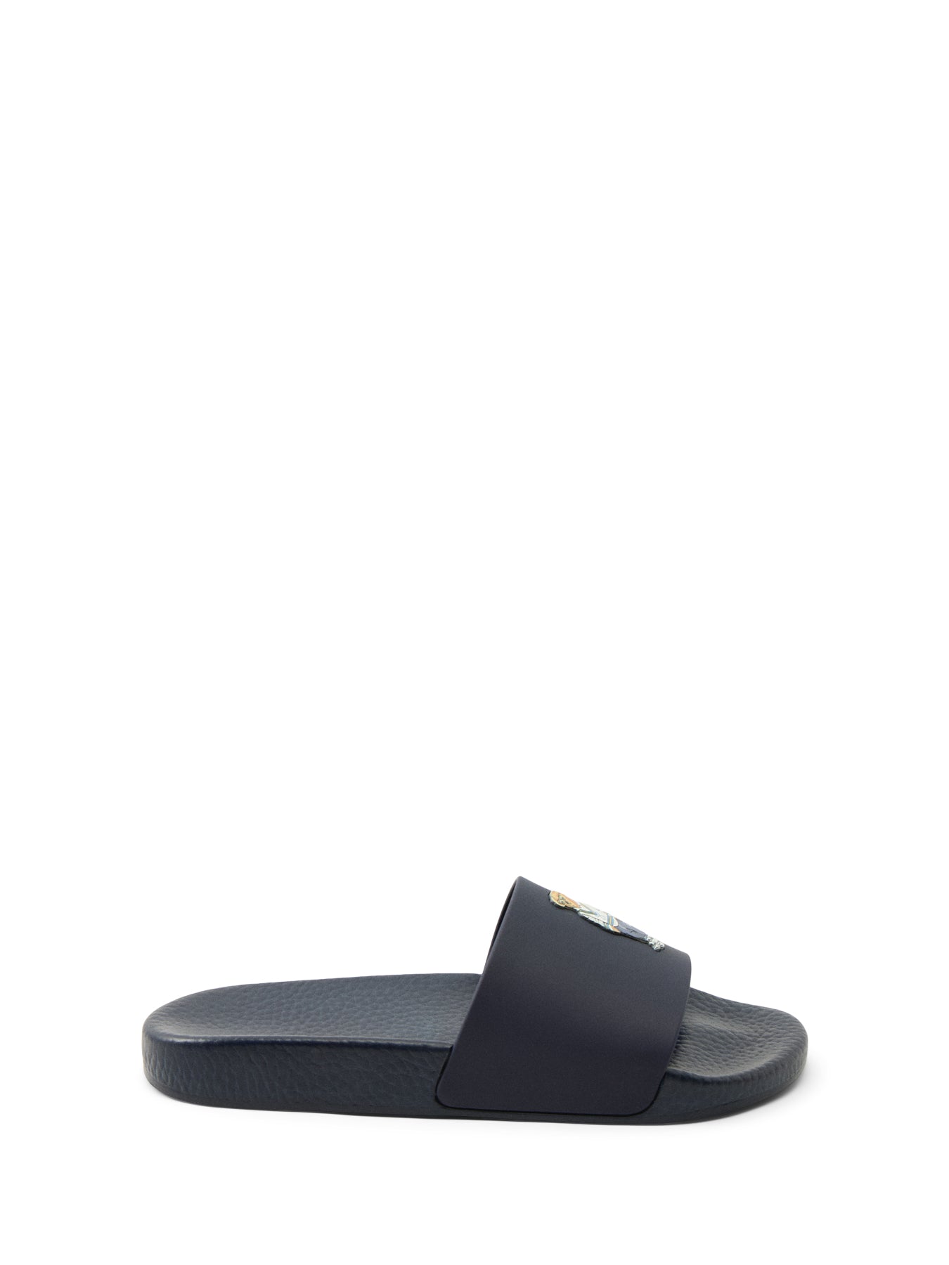 Polo Bear Slide