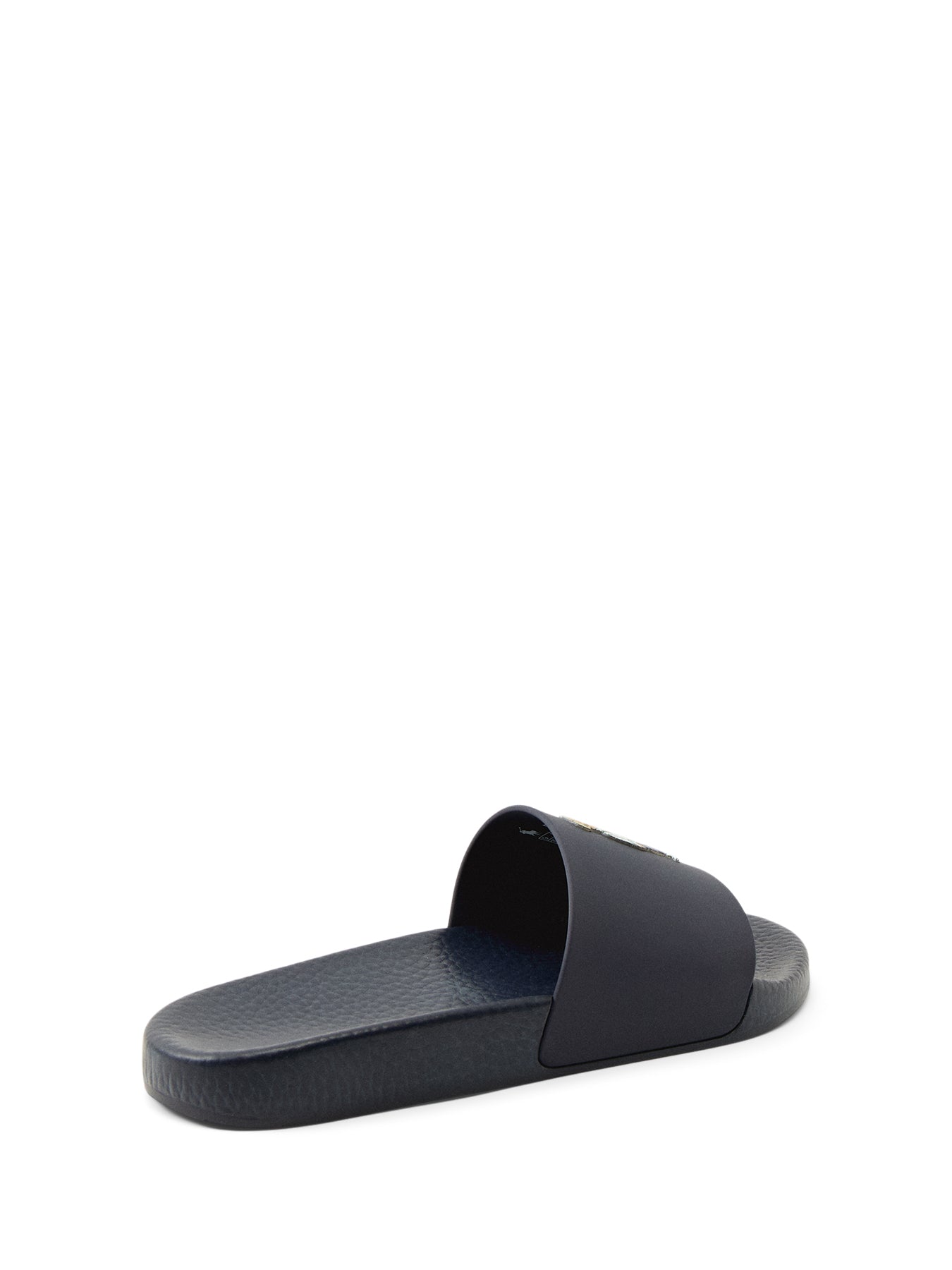 Polo Bear Slide