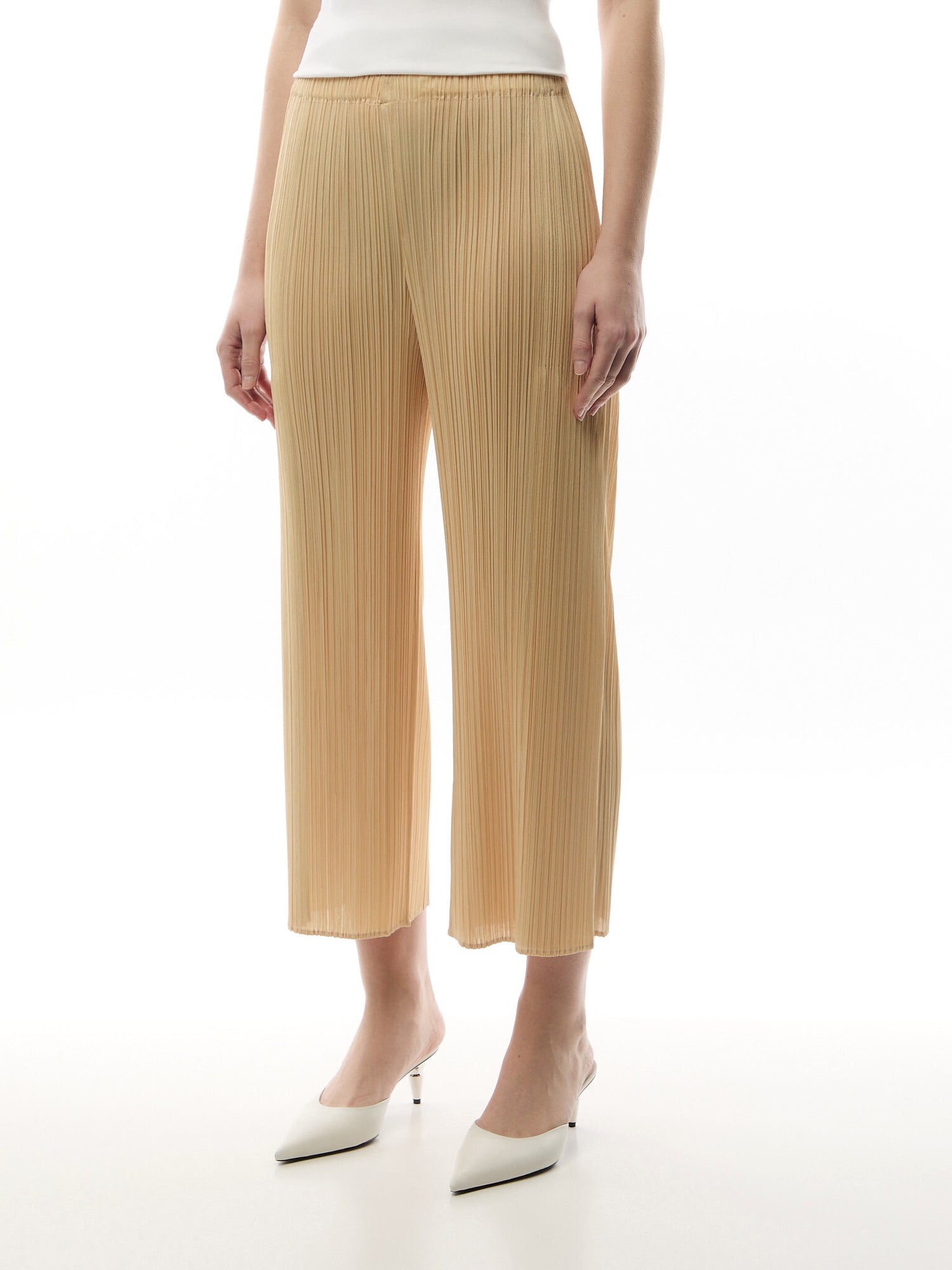Pleats Merry Bicolour Wide Leg Beige Pants