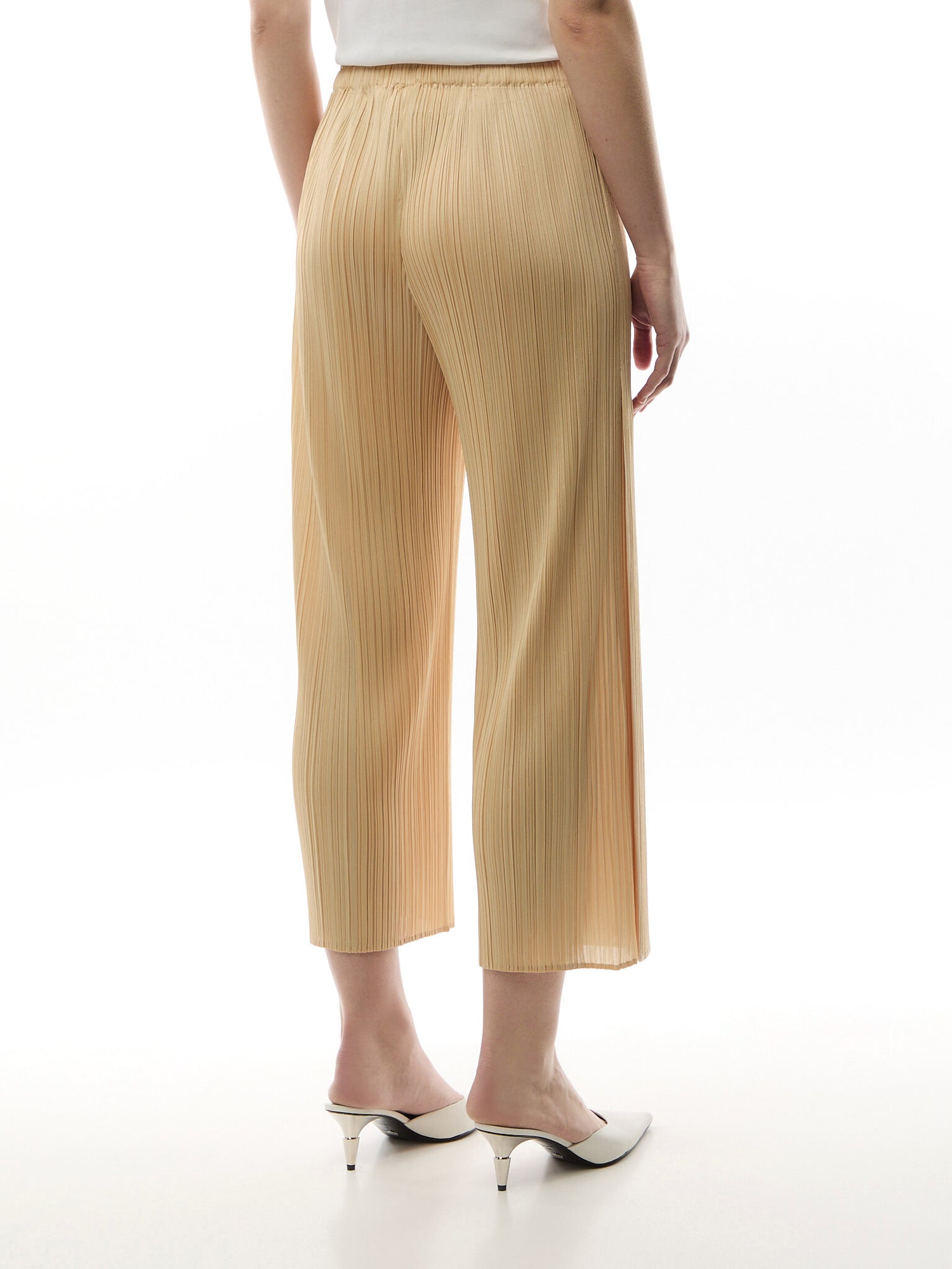Pleats Merry Bicolour Wide Leg Beige Pants