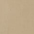 Medium Beige