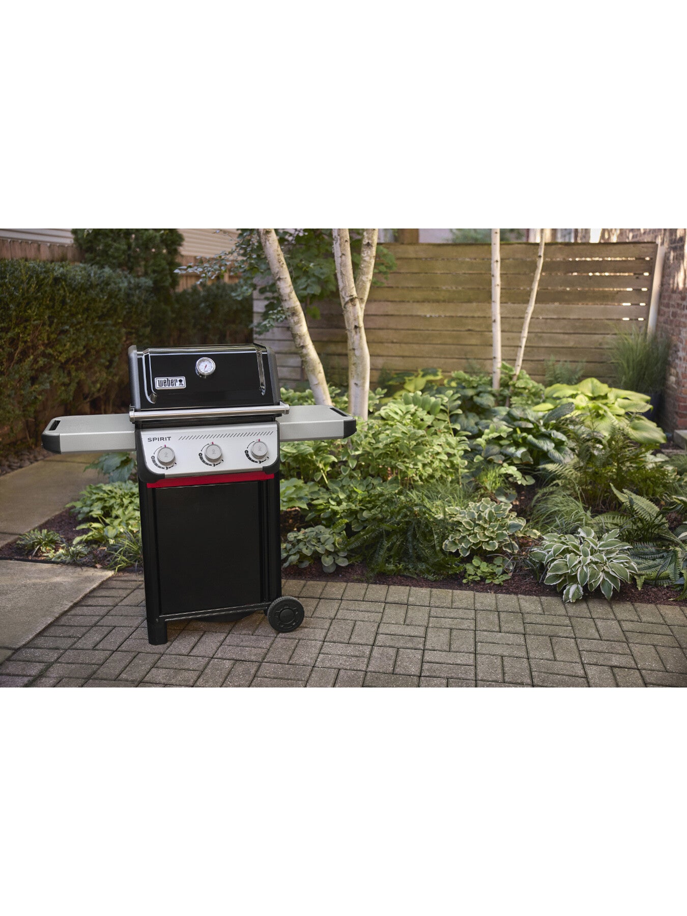 SPIRIT E-310 Barbecue