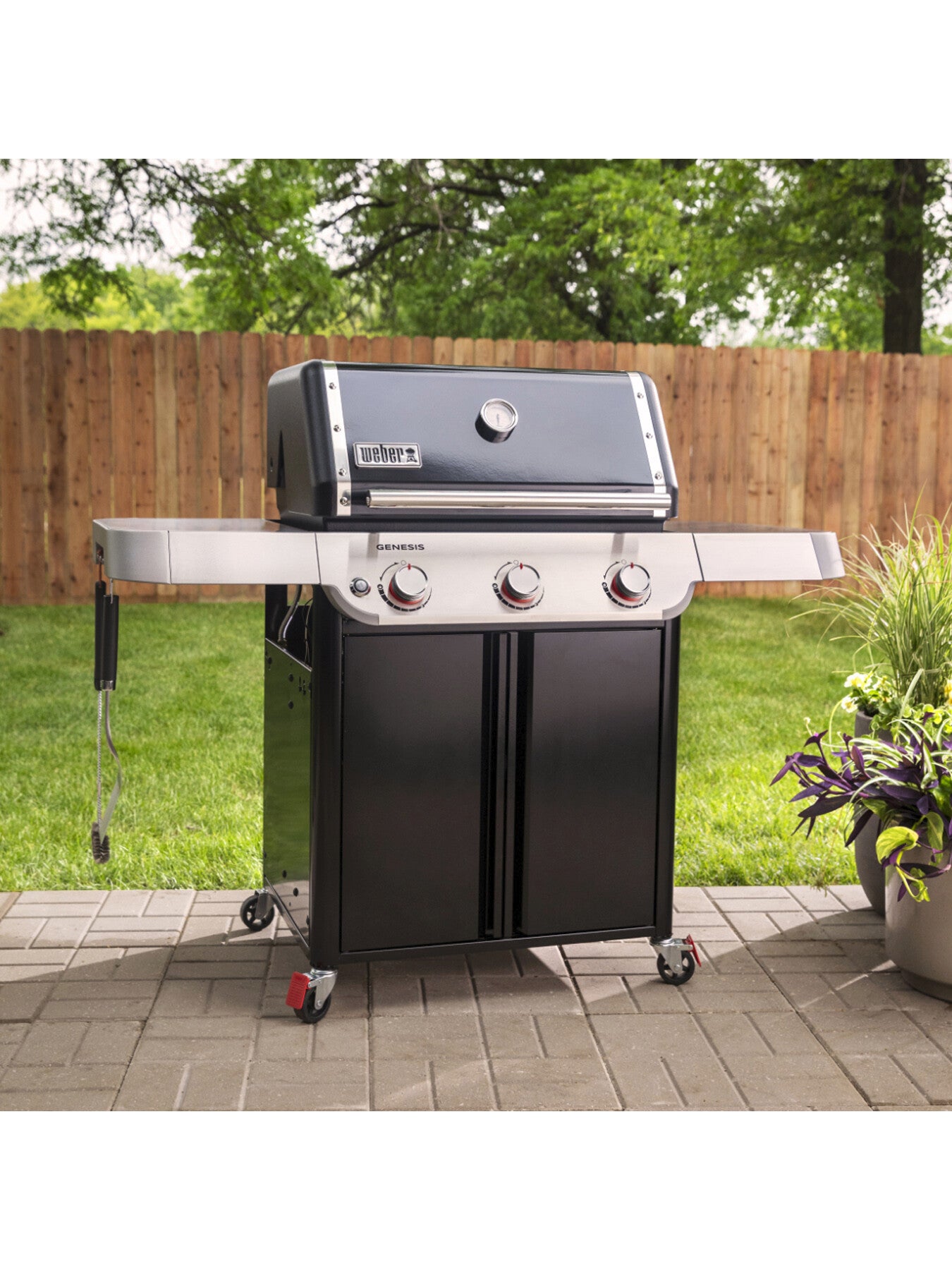 GENESIS E-315 Barbecue