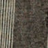 Alga