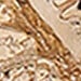 Dye Gold + Ecoat Plating