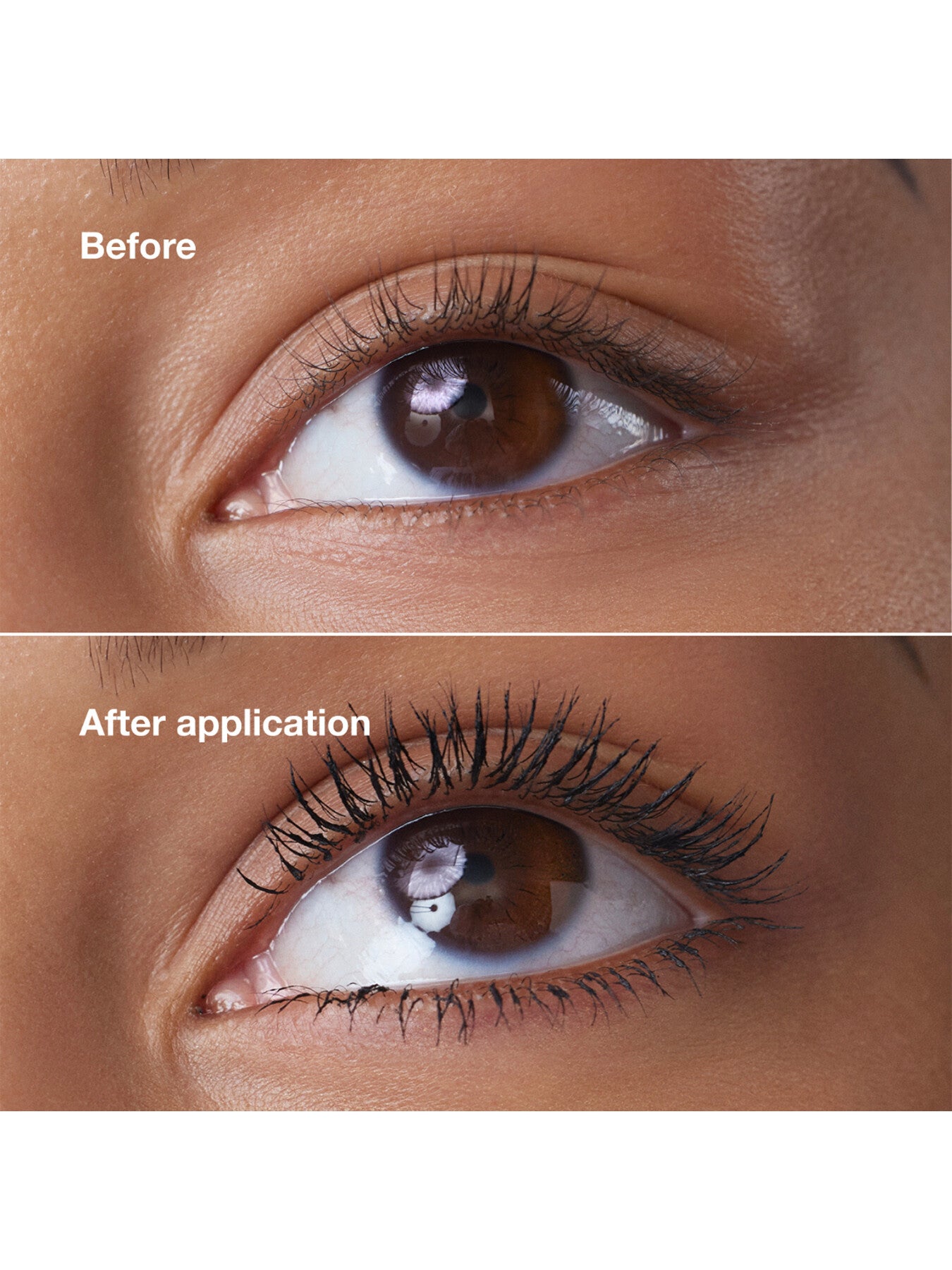 Trending Lip and Lash Duo Set