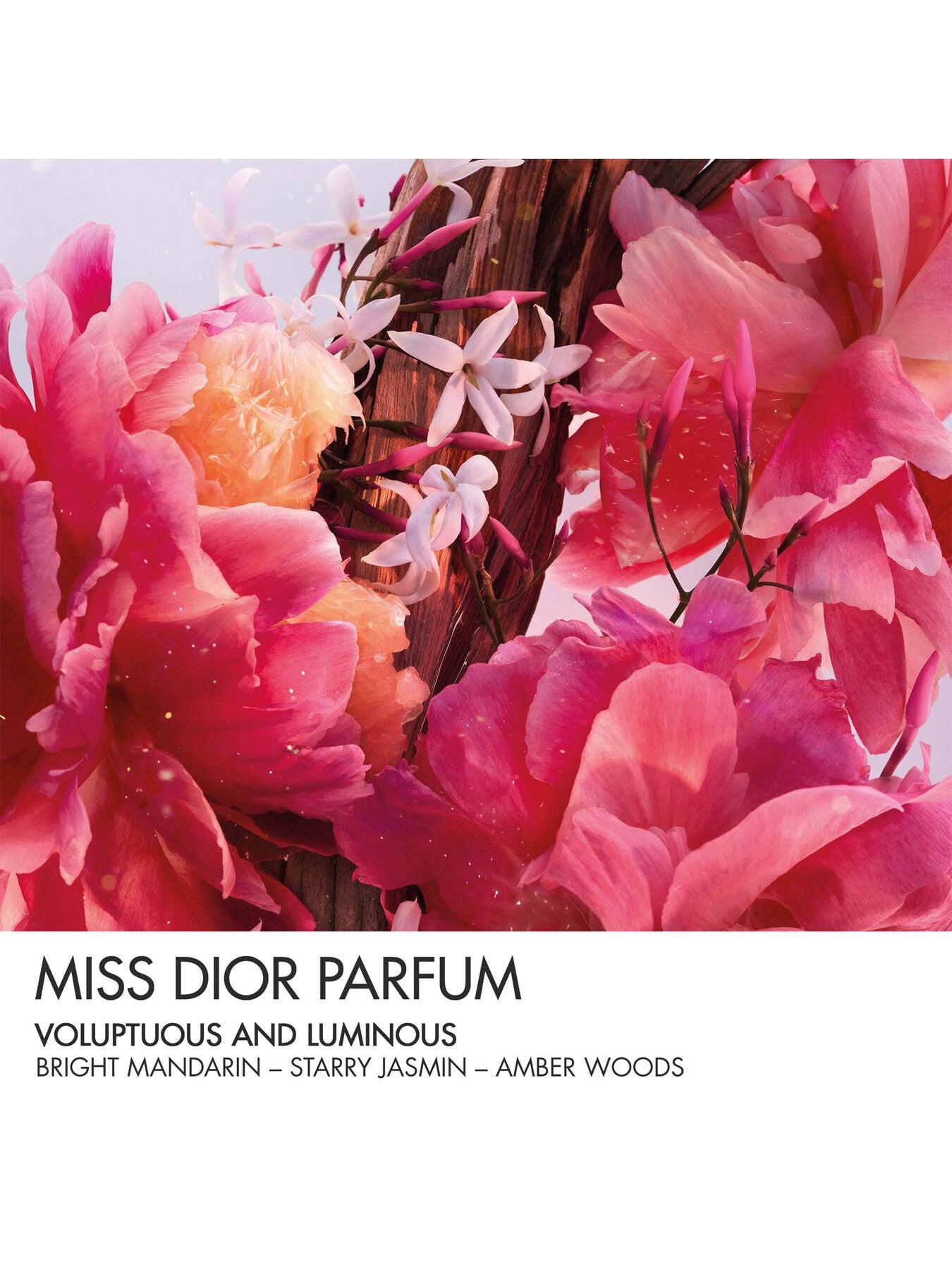 Miss Dior Parfum Mini Miss Solid Perfume