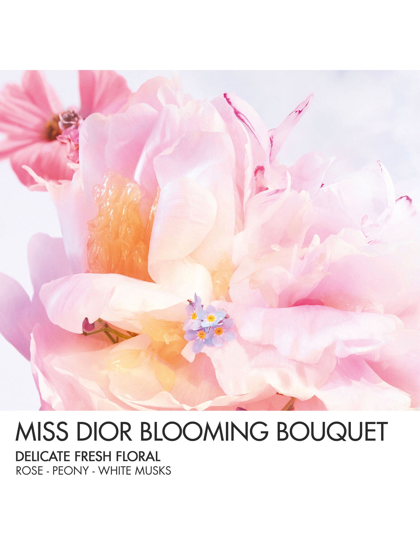 Miss Dior Blooming Bouquet Mini Miss Solid Perfume