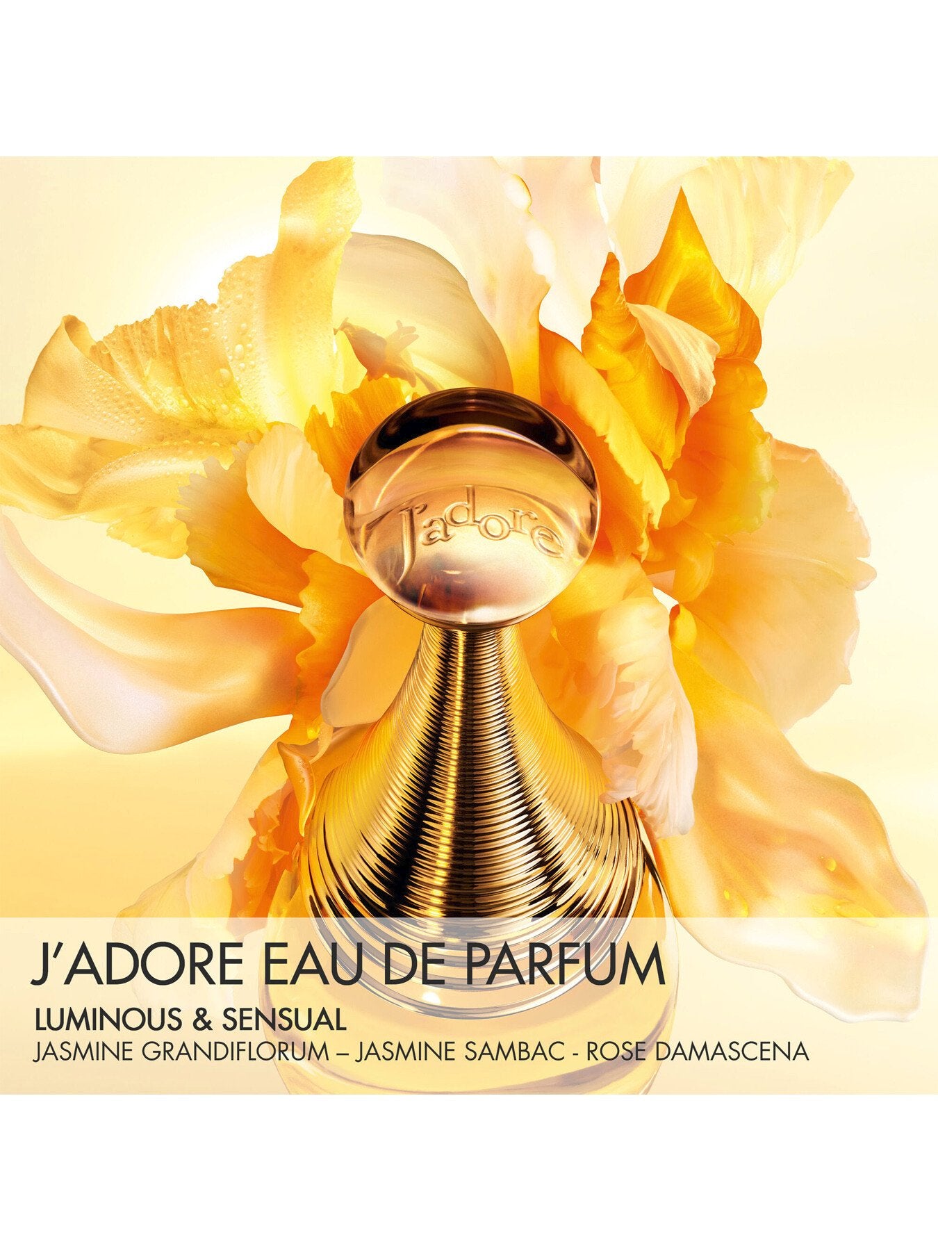 J'adore Eau De Parfum 100ml