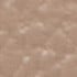 DOVE