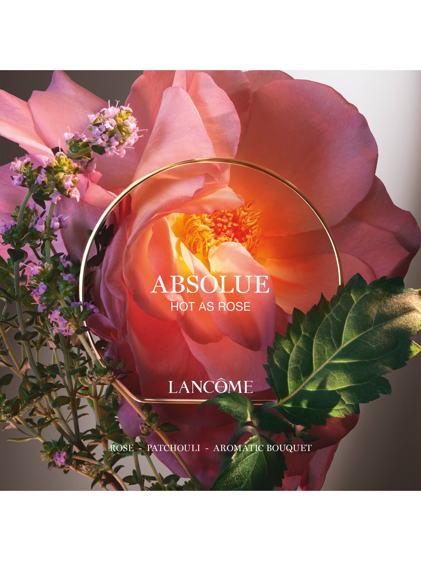 Lancome Absolue Les Parfums Hot As Rose 50ml Eau de Parfum