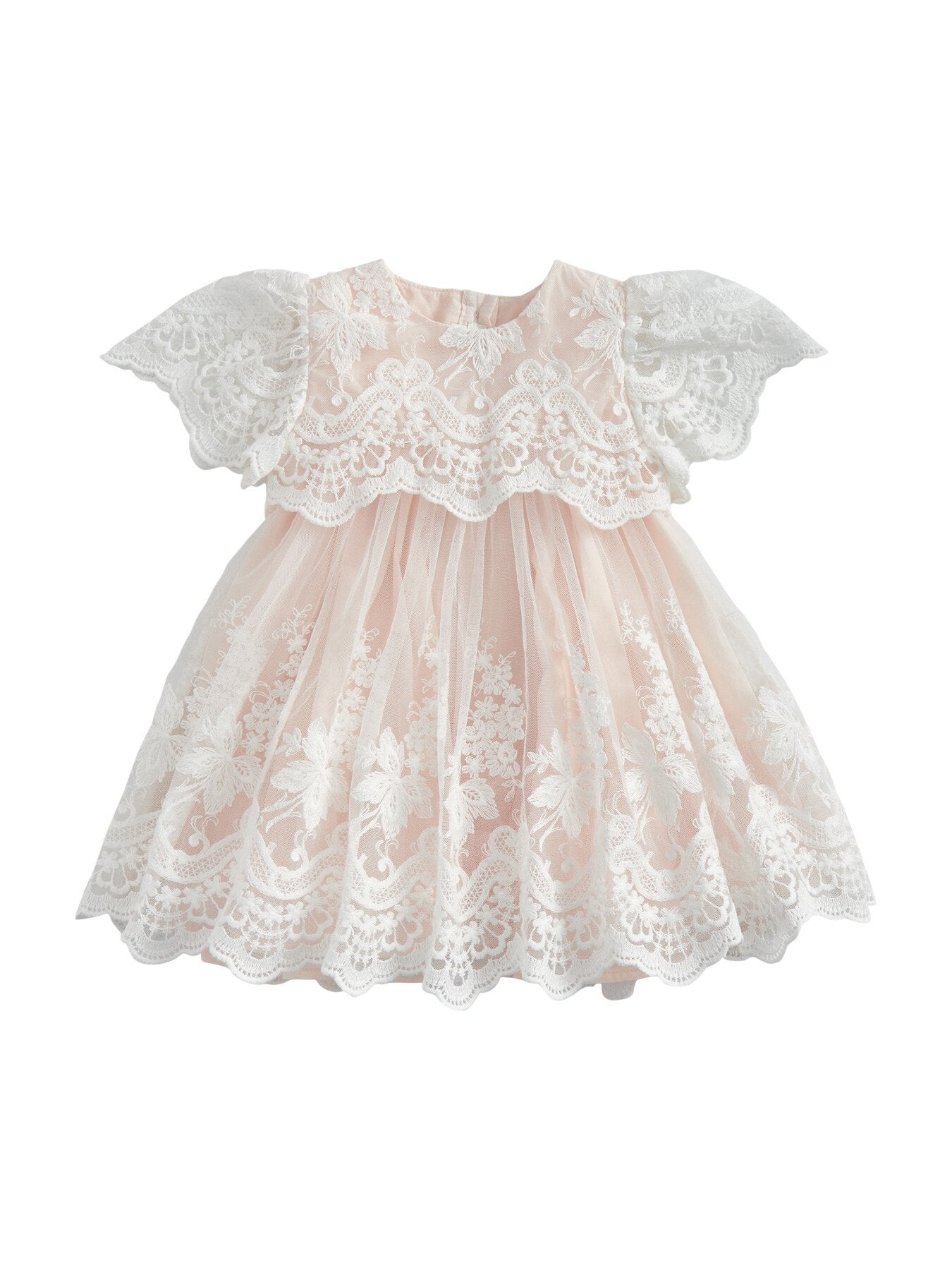 Lace Frill Sleeve Dress