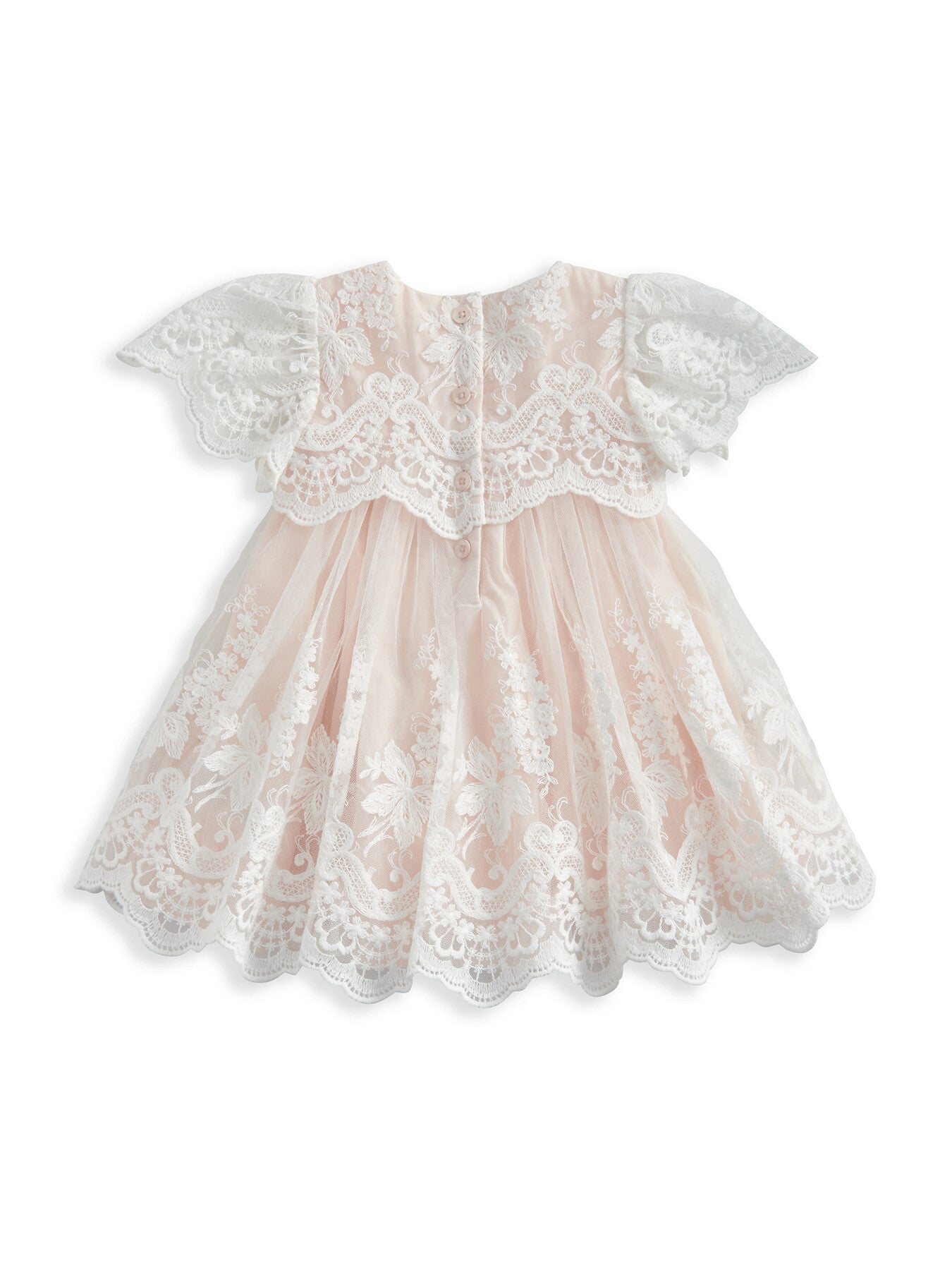 Lace Frill Sleeve Dress