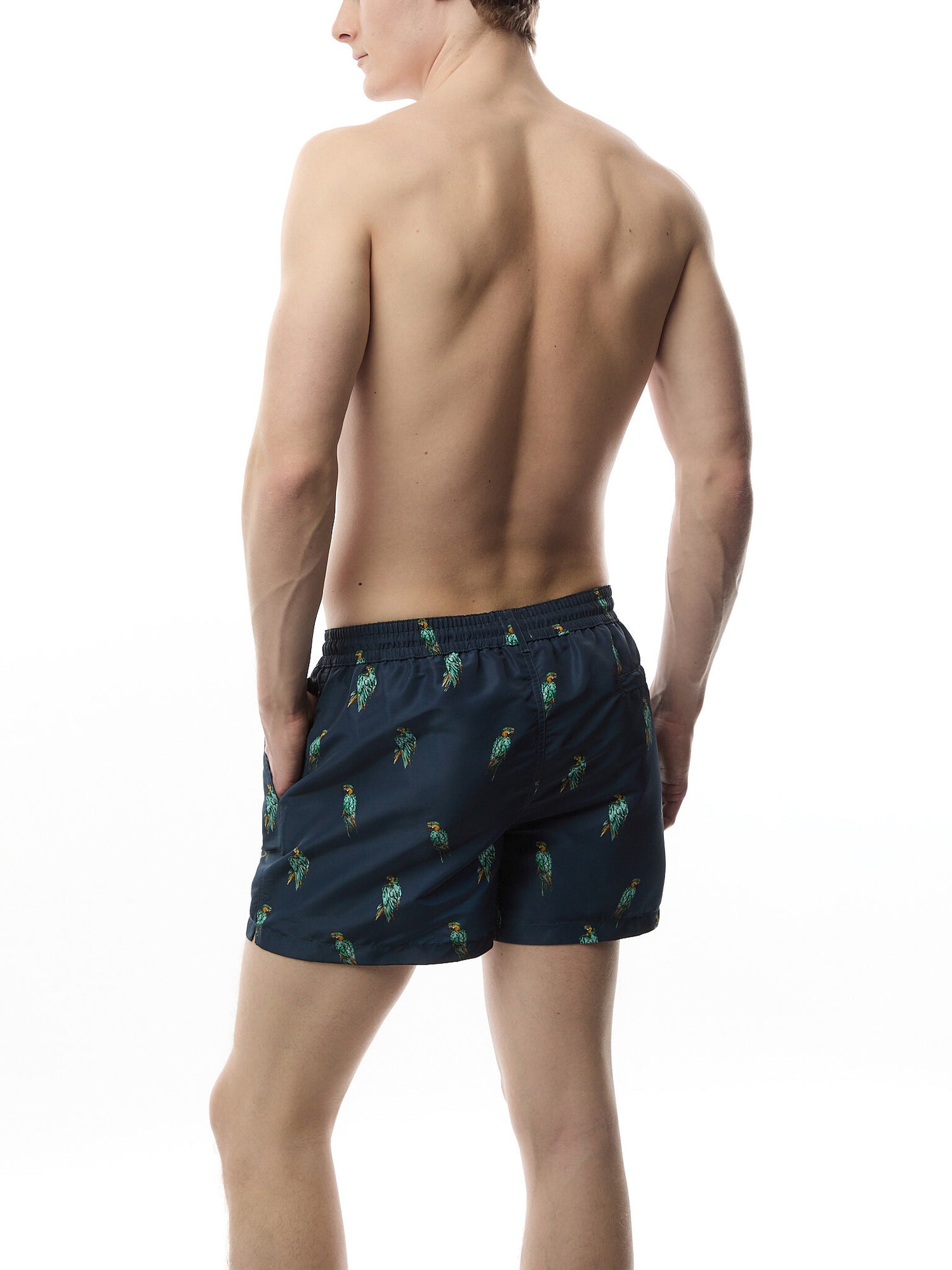 Parrots Swim Shorts