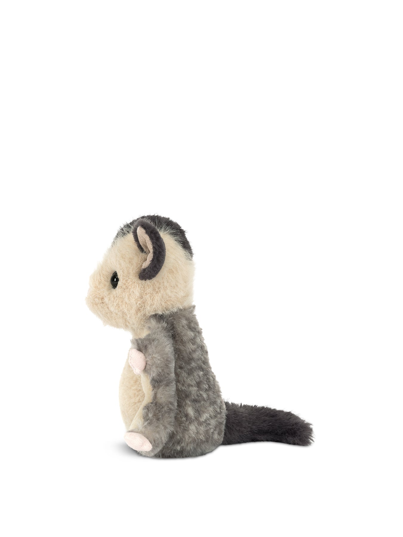 Lolly Sugar Glider