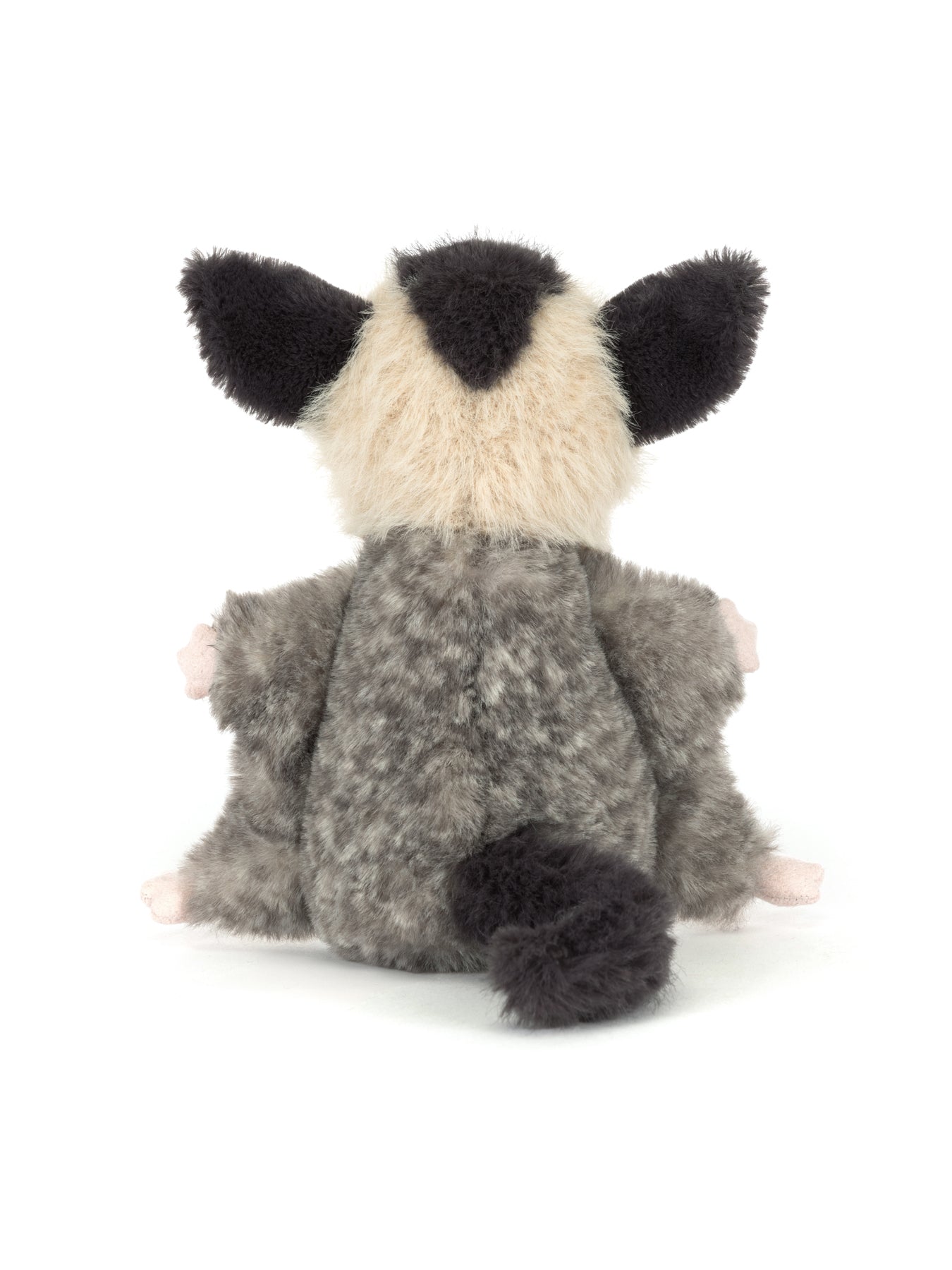 Lolly Sugar Glider