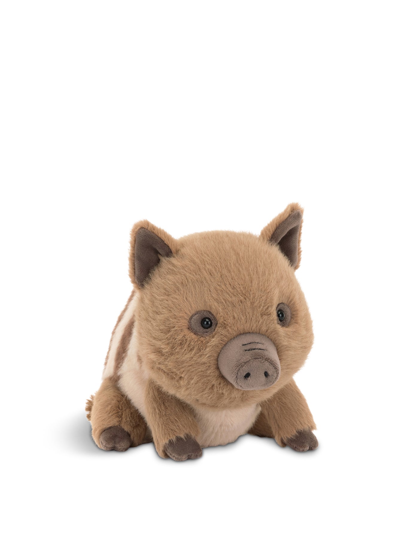 Swinley Boar