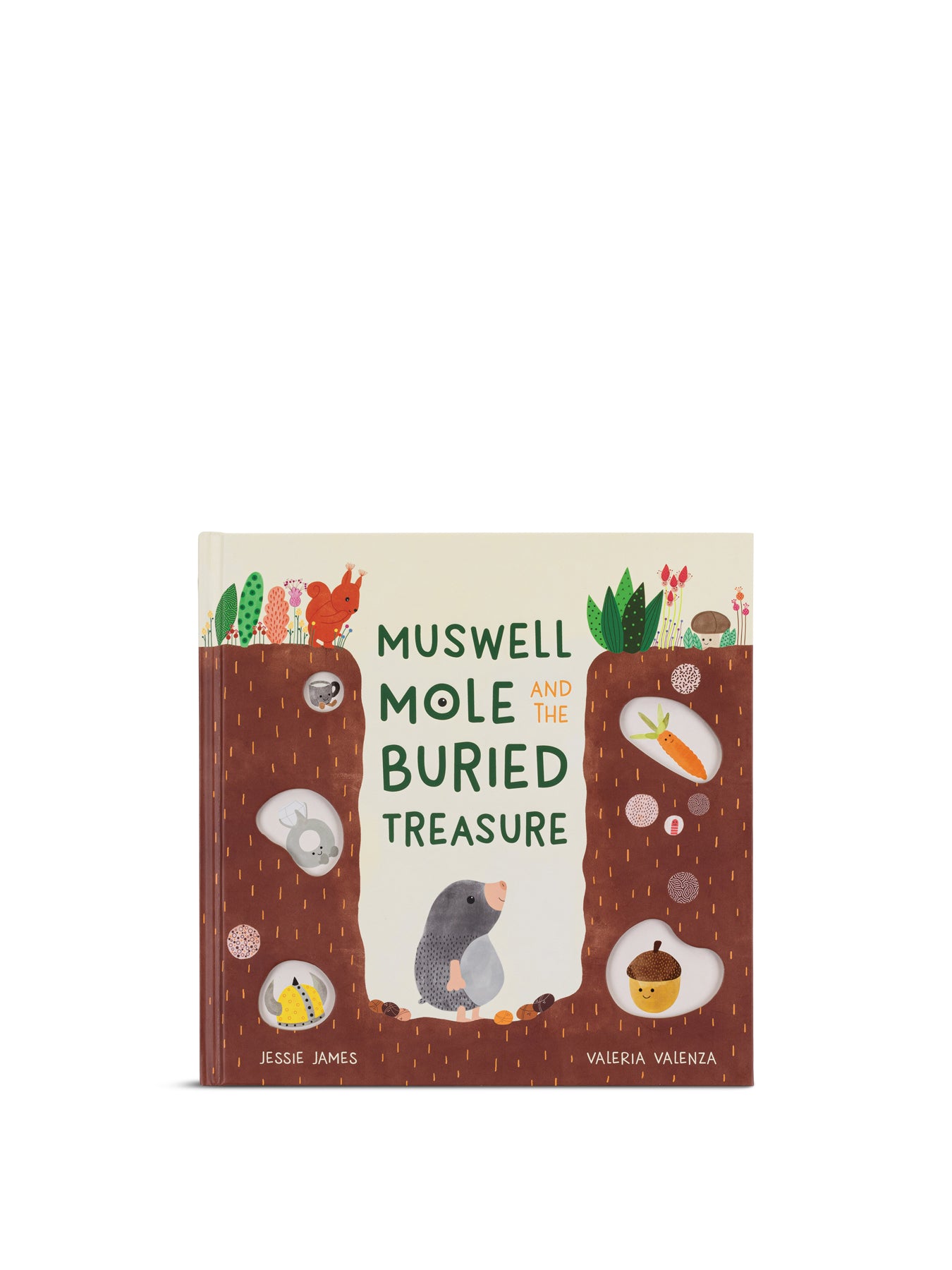 Muswell Mole and the Buried Treasure Book