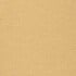 Sand Dune