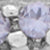 SILVER/LAVENDER