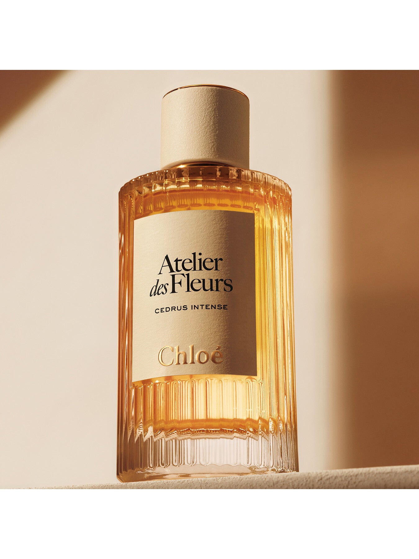 Chloé Atelier des Fleurs Cedrus Intense Eau de Parfum for Women 150ml