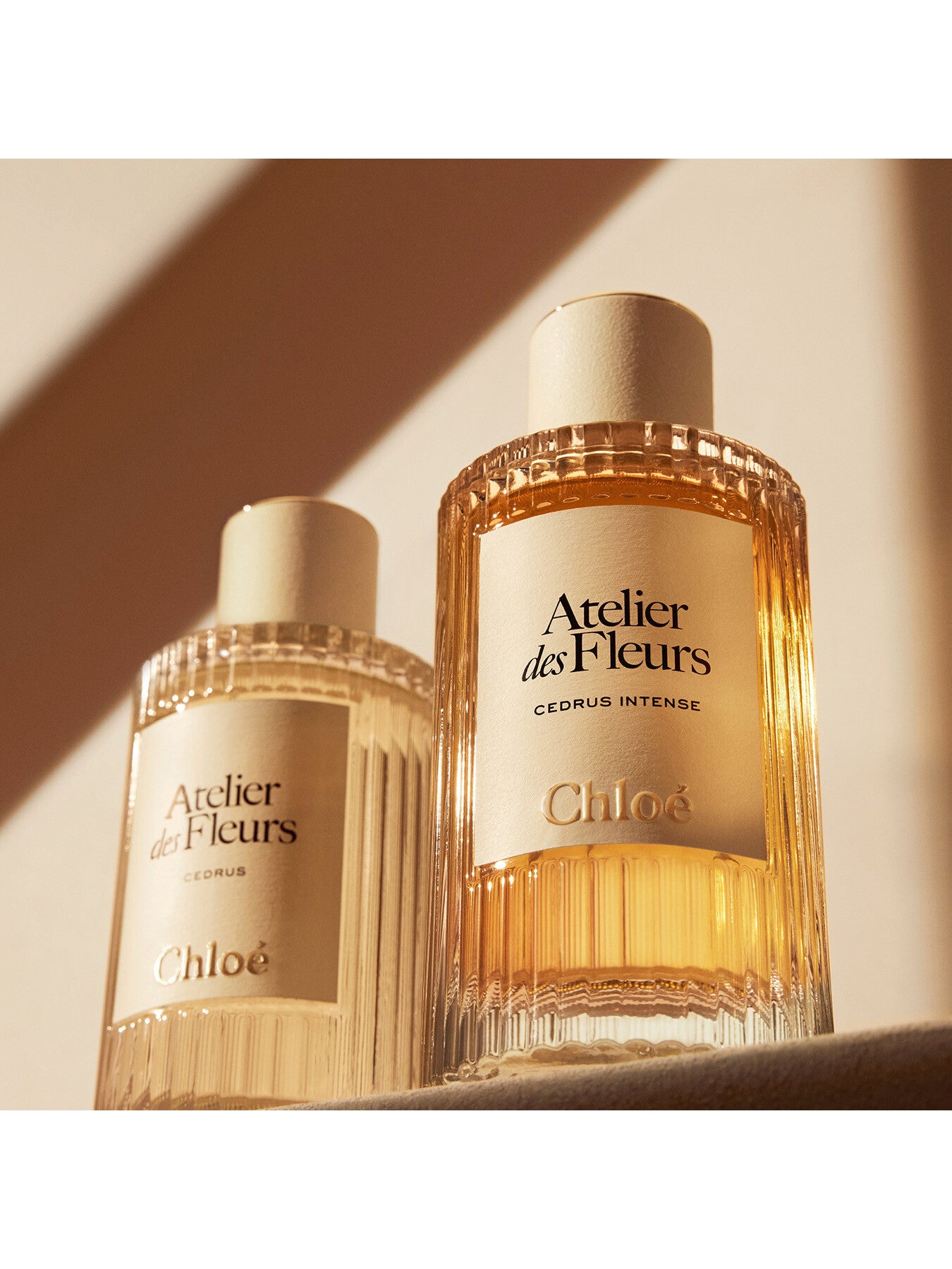 Chloé Atelier des Fleurs Cedrus Intense Eau de Parfum for Women 150ml
