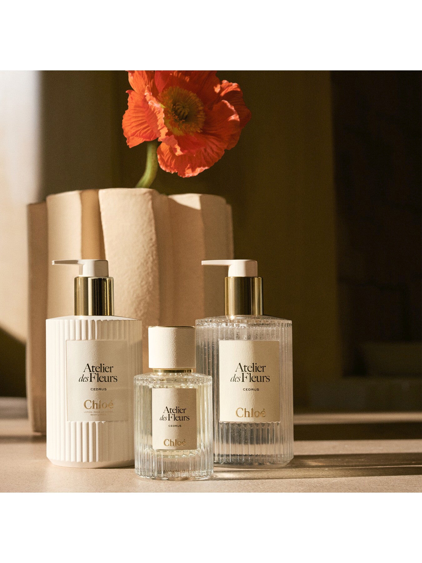 Chloé Atelier des Fleurs Santalum Perfumed Body Lotion, 300ml