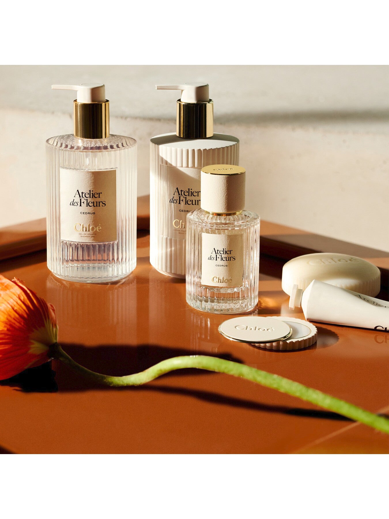 Chloé Atelier des Fleurs Santalum Perfumed Body Lotion, 300ml