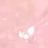 Sneak a Pink