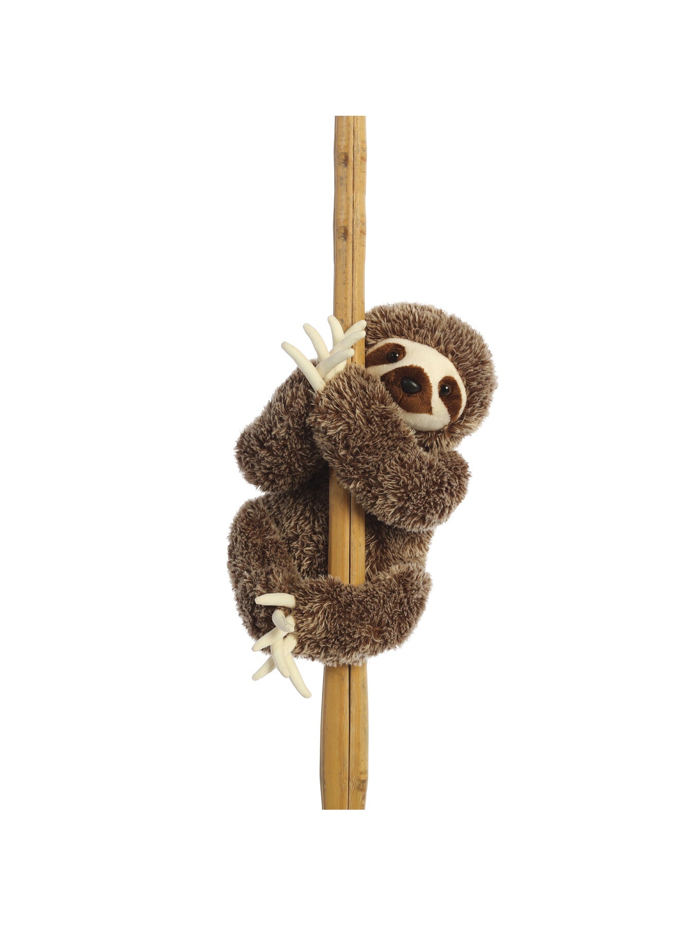 Destination Nation Sloth