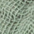 Eucalyptus