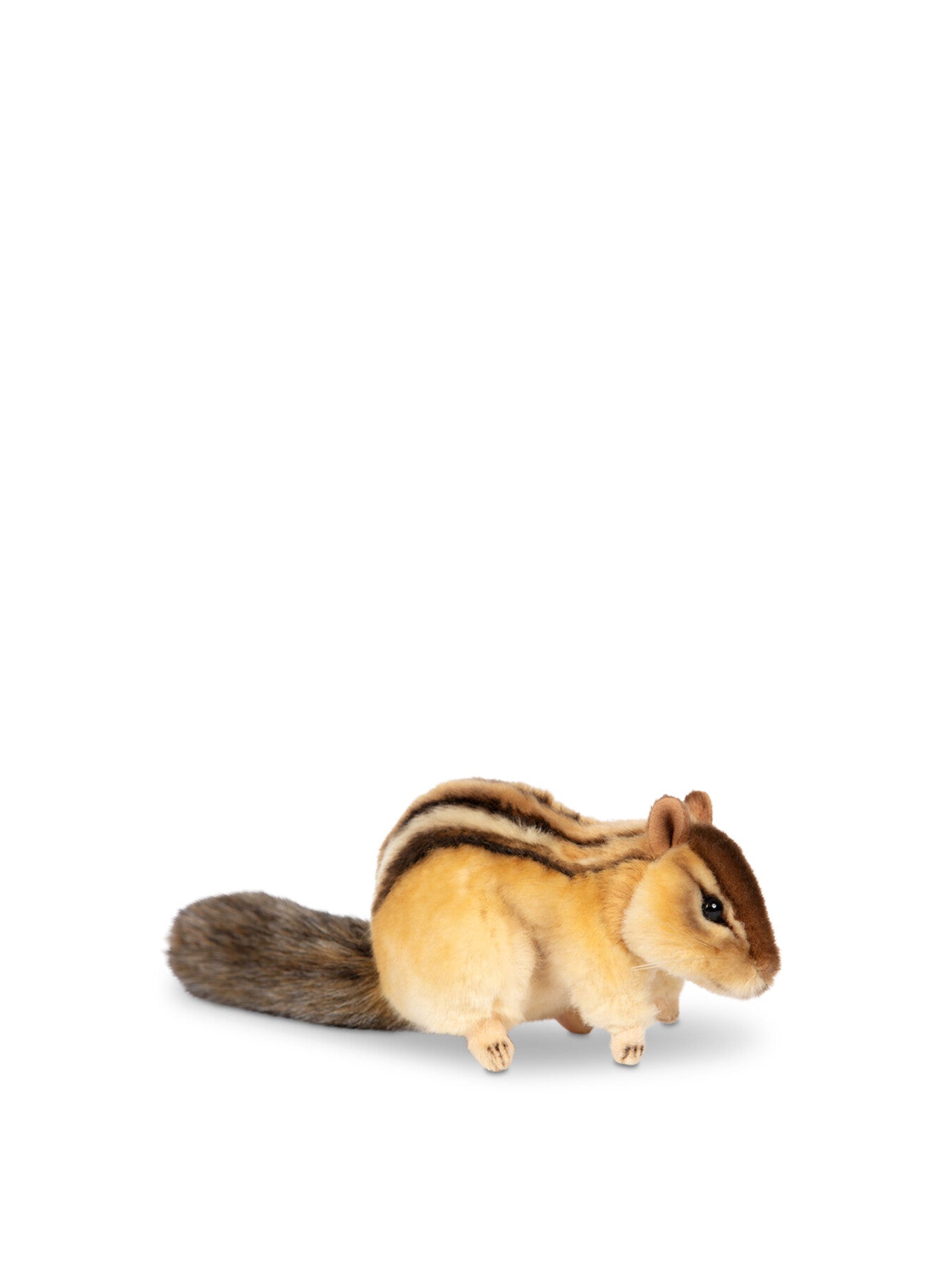 Chipmunk